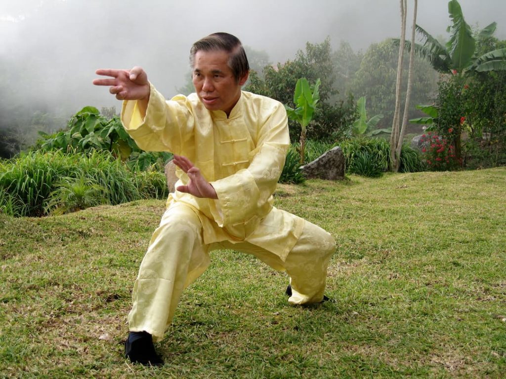 Gran Maestro Wong Kiew Kit - Gran Maestro Wong Kiew Kit Gran Maestro Wong Kiew Kit