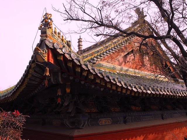 Las 10 Leyes Shaolin - Gran Maestro Wong Kiew Kit Las 10 Leyes Shaolin - Gran Maestro Wong Kiew Kit