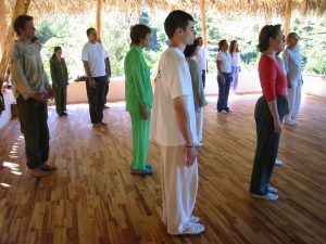 Estado Mental de Chi Kung Gran Maestro Wong Kiew Kit