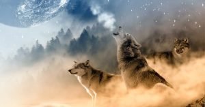 Los 2 Lobos Que Hay en Nuestro Interior - Cuento Espiritual