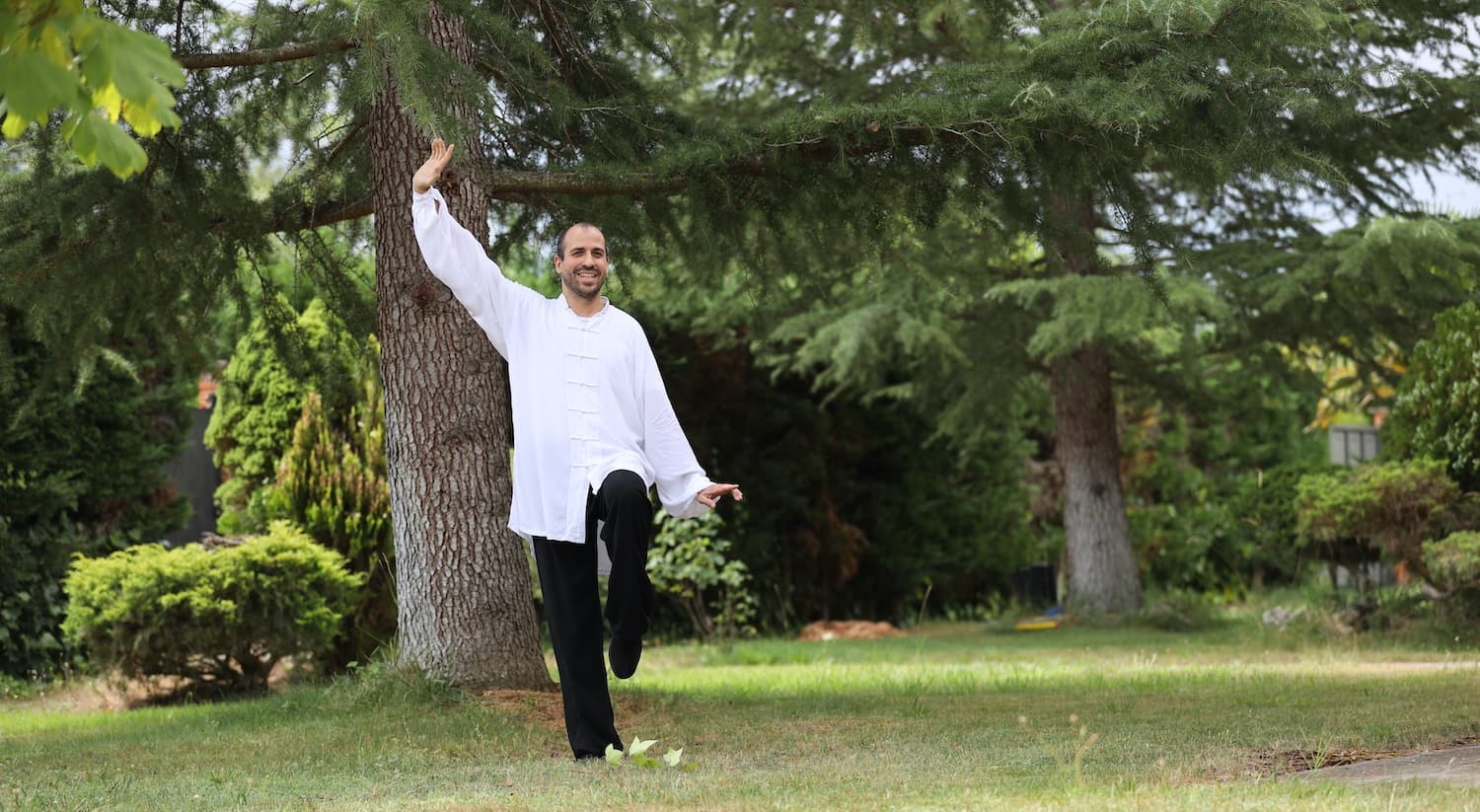 Inicio | Shaolin Wahnam Institute - Gran Maestro Wong Kiew Kit Las 3 Reglas de Oro del Chi Kung - Gran Maestro Wong Kiew Kit