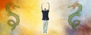 Libros de Chi Kung - Sifu Wong Kiew Kit
