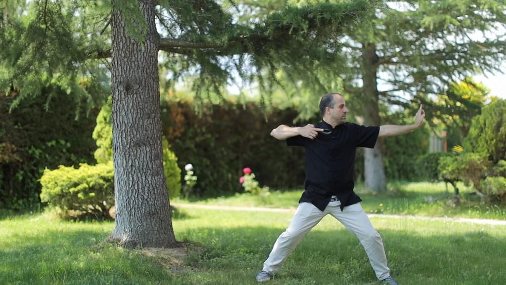 Chi Kung Shaolin y Sus Beneficios - Gran Maestro Wong Kiew Kit Chi Kung Shaolin - Gran Maestro Wong Kiew Kit