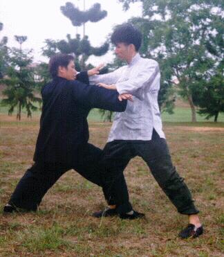 Defensa Personal en el Tai Chi Chuan - Gran Maestro Wong Kiew Kit Importancia de Habilidad y Fuerza - 1b - Defensa Personal en el Tai Chi Chuan