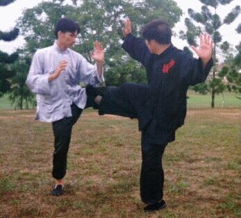 Defensa Personal en el Tai Chi Chuan - Gran Maestro Wong Kiew Kit Los Cuatro Patadas - 4 - Defensa Personal en el Tai Chi Chuan