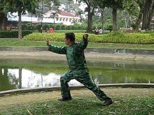 Manos Como Nubes - Sifu Wong Kiew Kit - 2