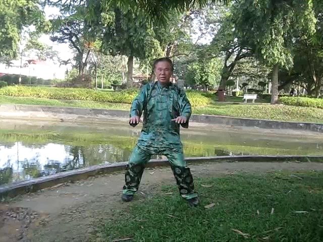Forma de 24 Movimientos de Tai Chi Chuan - Gran Maestro Wong Kiew Kit 3 Lifting Water 2 - Gran Maestro Wong Kiew Kit
