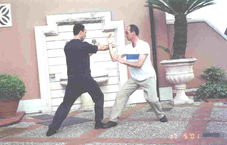 Manos-que-Golpena-Tui-Shou-0-Gran-Maestro-Wong-Kiew-Kit