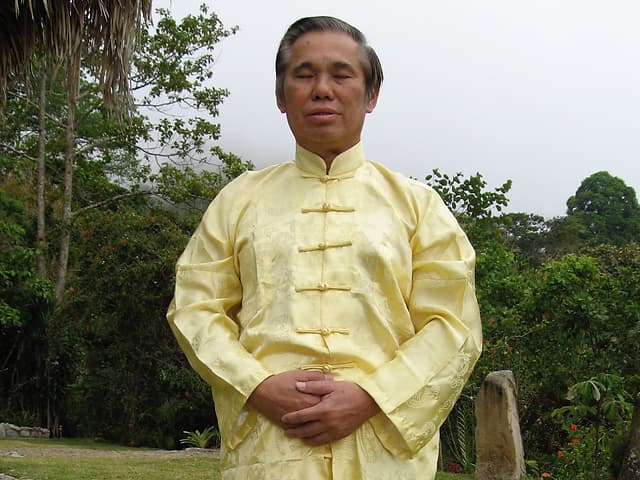 ¿Qué es el Dan Tian (Dan Tien)? - Gran Maestro Wong Kiew Kit Qué es el Dan Tian - Gran Maestro Wong Kiew Kit
