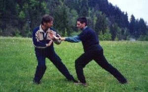 Tui Shou Empuje de Manos 3 - Gran Maestro Wong Kiew Kit