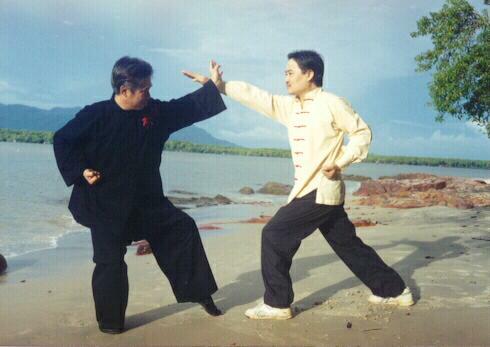 Por qué el Kung Fu Shaolin es el Mejor Arte Marcial - Gran Maestro Wong Kiew Kit 6 Armonías (Liu He) 1 - Gran Maestro Wong Kiew Kit