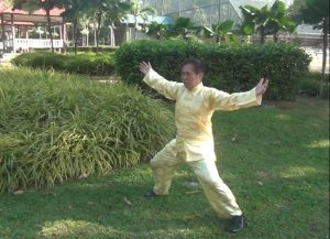 Beneficios del Kung Fu 4 - Gran Maestro Wong Kiew Kit
