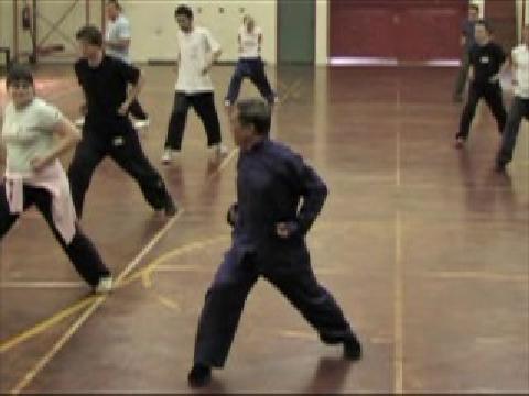 Fundamentos del Kung Fu Shaolin - Gran Maestro Wong Kiew Kit Entrenamiento de Kung Fu Shaolin Básico - Gran Maestro Wong Kiew Kit