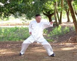 Palma de Algodón Kung Fu de Wudang - Gran Maestro Wong Kiew Kit