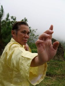 Qué es el Dim Mak o Dian Xue 2 - Gran Maestro Wong Kiew Kit