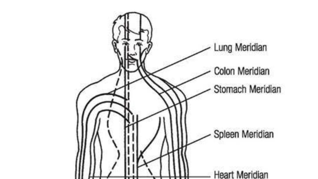 ¿Qué son los meridianos del cuerpo? - Gran Maestro Wong Kiew Kit copy